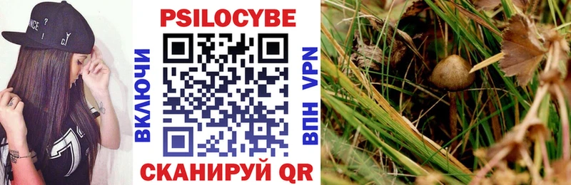 Купить закладки  Апатиты  Галлюциногенные грибы мицелий 